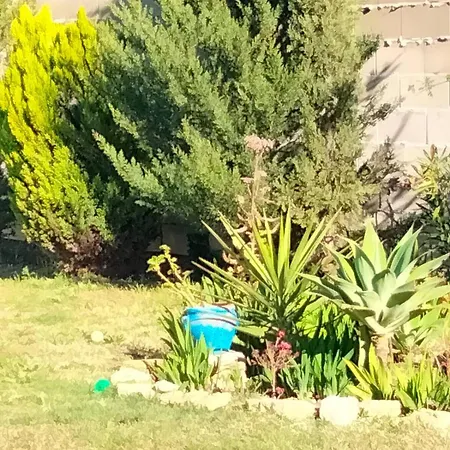 Casa De Madera Piscina En Roche * Conil De La Frontera